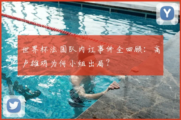 世界杯法国队内讧事件全回顾：高卢雄鸡为何小组出局？