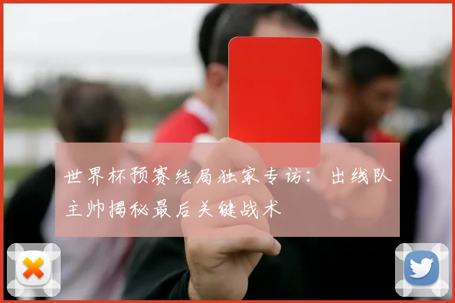世界杯预赛结局独家专访：出线队主帅揭秘最后关键战术