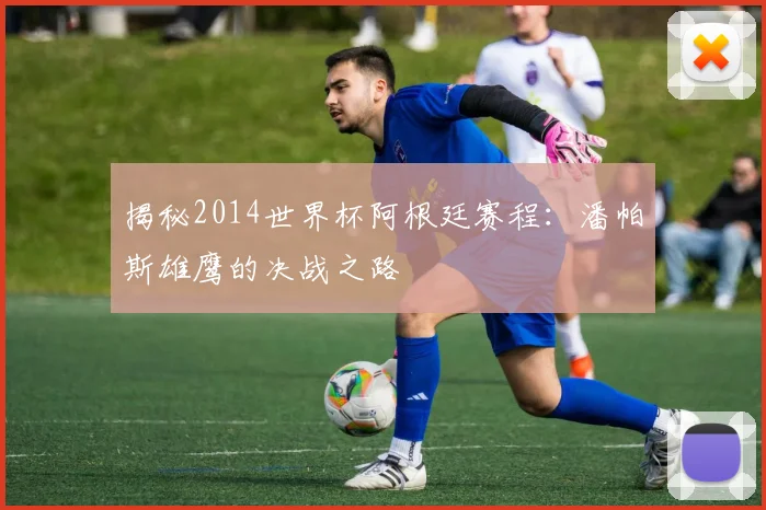 揭秘2014世界杯阿根廷赛程:潘帕斯雄鹰的决战之路