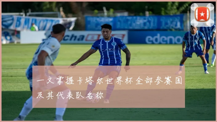 一文掌握卡塔尔世界杯全部参赛国及其代表队名称