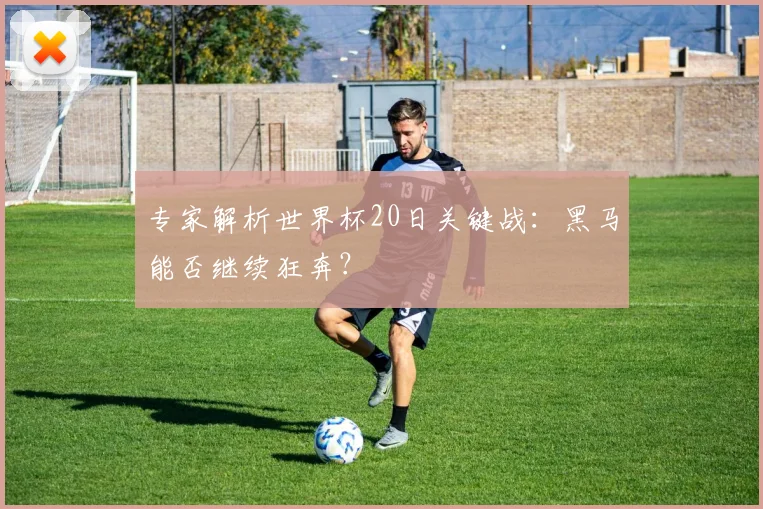 专家解析世界杯20日关键战：黑马能否继续狂奔？