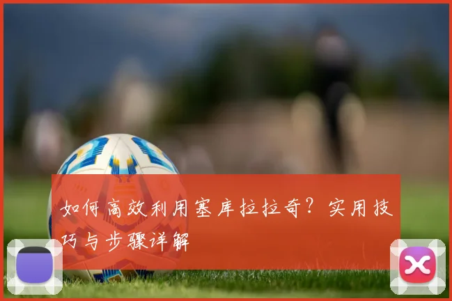 如何高效利用塞库拉拉奇？实用技巧与步骤详解