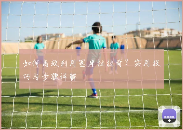 如何高效利用塞库拉拉奇？实用技巧与步骤详解